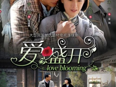 电视剧爱盛开,命运交织的情感之旅