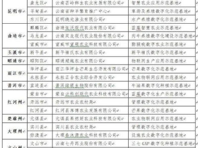 游戏手机排行榜2021前十名斗地主,斗地主热门机型盘点