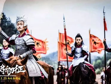 新杨门女将电视剧1,传奇女将再战江湖，家国情怀谱写新篇章