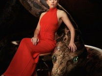 奇幻森林 迅雷下载,探寻神秘世界的奇幻之旅