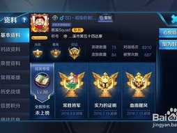 王者荣耀名字,传奇英雄的荣耀征程