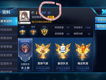 王者荣耀网名,网名背后的英雄传奇