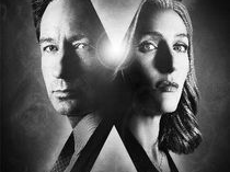 x档案电影,探寻未知界限的神秘之旅