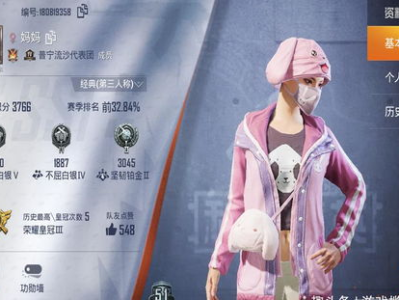 吃鸡游戏id取名鬼才,揭秘绝地求生中的神秘“吃鸡”高手