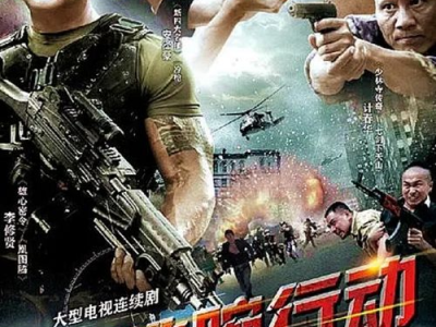 电视剧铁腕行动,揭秘反腐斗争背后的惊心动魄