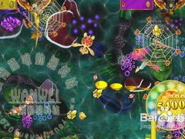 游戏机打鱼机赢钱技巧,轻松掌握赢钱技巧