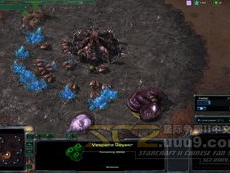 zerg rush,揭秘游戏中的神秘虫族入侵策略