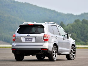 森林人,自然生命的摇篮