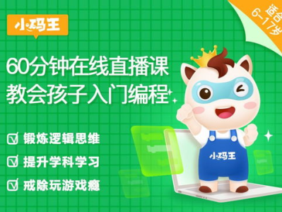 小码王,引领少儿编程教育新潮流