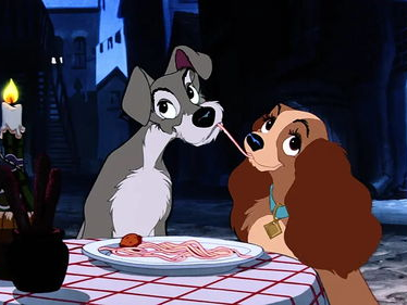 小姐与流浪汉下载,一段跨越身份的浪漫传奇