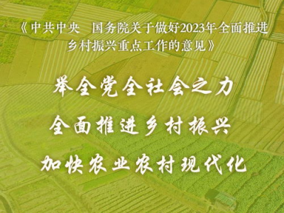 2023年中央一号文件,乡村振兴战略再升级，农业现代化迈新步