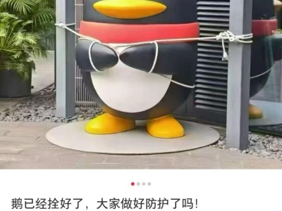 企鹅变“拴Q”、汽车被五花大绑、商超剩下辣椒，广东多地提醒无需过度囤货