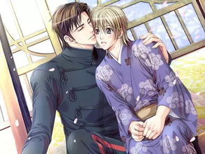 bl游戏,BL游戏中的浪漫冒险之旅