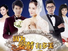 因为爱情有多美在线观看,浪漫邂逅，谱写永恒爱情传奇