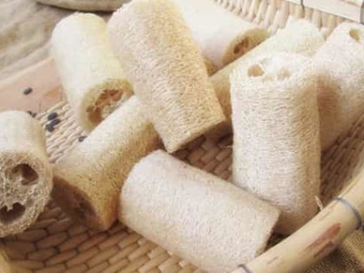 丝瓜络的功效与作用,天然养生佳品，疏通经络，保健养生之道