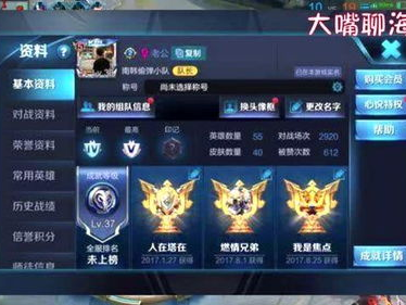 游戏id王者,游戏ID背后的传奇故事