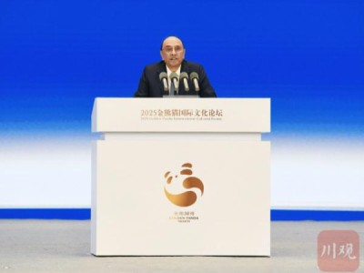 巴基斯坦总统扎尔达里：以艺术架起连通国家、文化与社区的桥梁