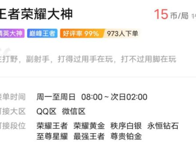 游戏陪玩试音文案,开启虚拟世界互动新篇章