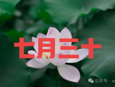 一月一日非今天打一字,探寻岁月流转之谜”