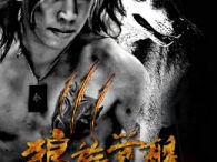 夜狼电影,探寻黑暗中的狼性力量