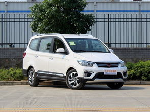 柳州五菱,柳州五菱引领汽车新潮流”