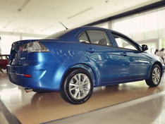 风迪思,探索自然与科技的和谐共生