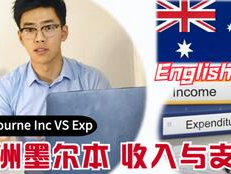 subtitles,揭秘字幕制作的艺术与技巧