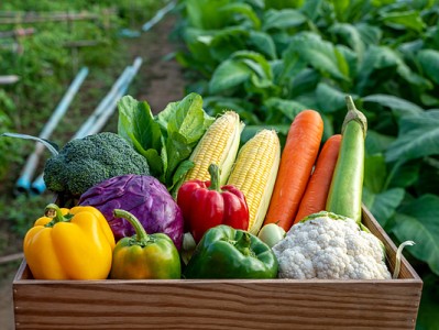 从田间到餐桌的供应链革命