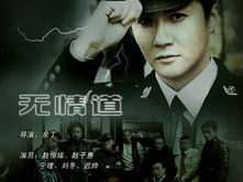 无情道电视剧全集,复仇之路，爱恨交织的江湖传奇