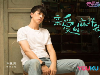 亲爱的麻洋街在线观看,在线重温的温情岁月