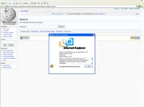 ie浏览器,功能与特性的全面概述