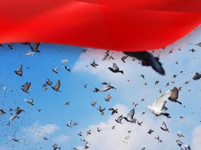 砥柱中流领航复兴——中国人民抗日战争暨世界反法西斯战争胜利80周年纪念活动启示录（六）