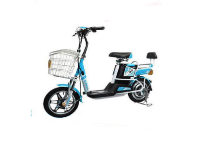 新日电动车价格表,性价比之选，绿色出行新选择