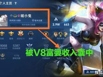 游戏id女生,探寻ID背后的青春足迹