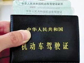 机动车驾驶证申请表,机动车驾驶证申请流程全解析