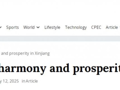 【中国那些事儿】国际友人见证多民族文化交融赞叹新疆和谐包容之美