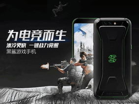 游戏手机哪个性价比高,盘点当下热门游戏手机