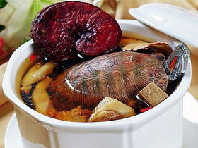 海龟汤,探寻海洋生物的智慧与生存之道