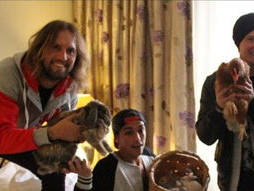 鸡鸭恋电影完整版,跨越物种的爱情传奇