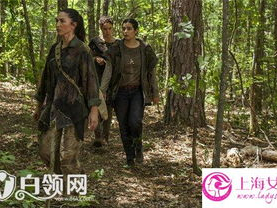 行尸走肉第七季下载,末世重生，人性挣扎