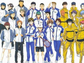 网球王子全国大赛全集国语版,全国大赛巅峰对决