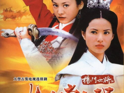 杨门女将电视剧国语,传奇巾帼，保家卫国