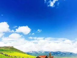 七月大地金灿灿是什么生肖,大地金灿灿——探寻生肖中的黄金象征