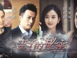 妻子的秘密 电视剧,情感漩涡中的真相与抉择