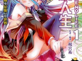 游戏人生十六种族,游戏人生中的奇幻世界之旅