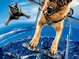 猫狗大战电影,一场跨越种族的终极对决