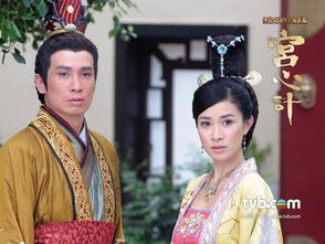 宫心计 电视剧,宫心计的权谋与爱恨