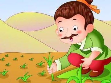 拔苗助长,探索农业发展中的适度干预之道