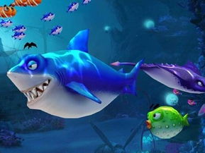 2025最火游戏推荐,引领潮流的十大爆款游戏推荐