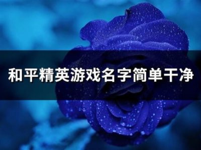 游戏名字简单干净二字男,探寻游戏世界的纯净魅力